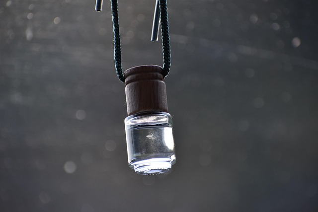 car freshener, air freshener, hanging diffuser, car freshener, car freshener, air freshener, air freshener, air freshener, air freshener, air freshener
